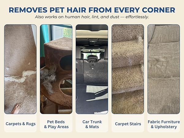 Before and after carpet comparison showing dramatic difference after using Uproot Cleaner
