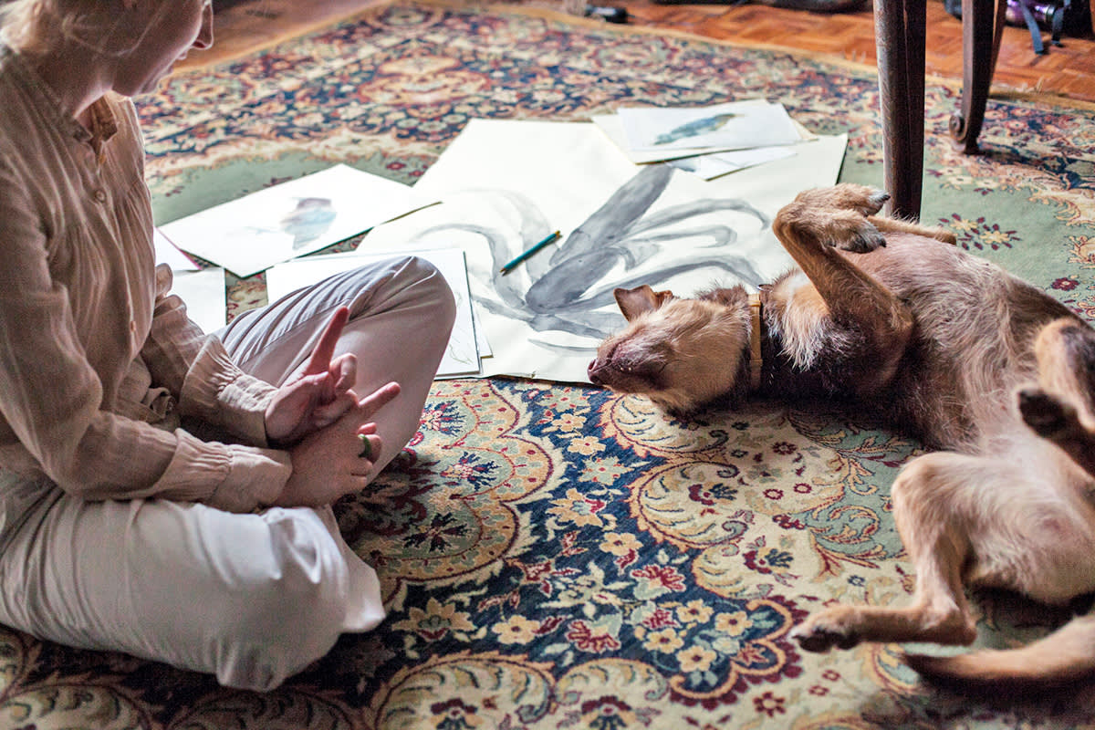 A dog scratching and looking uncomfortable on a rug